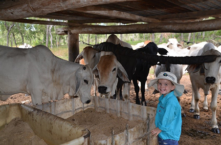 ‘Watson River Station’, Cape York, Queensland