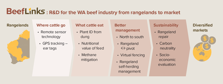 BeefLinks infographic