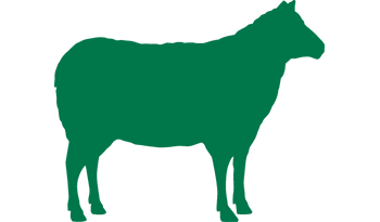 BulkUp