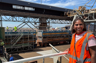 Live export – offering value across the globe