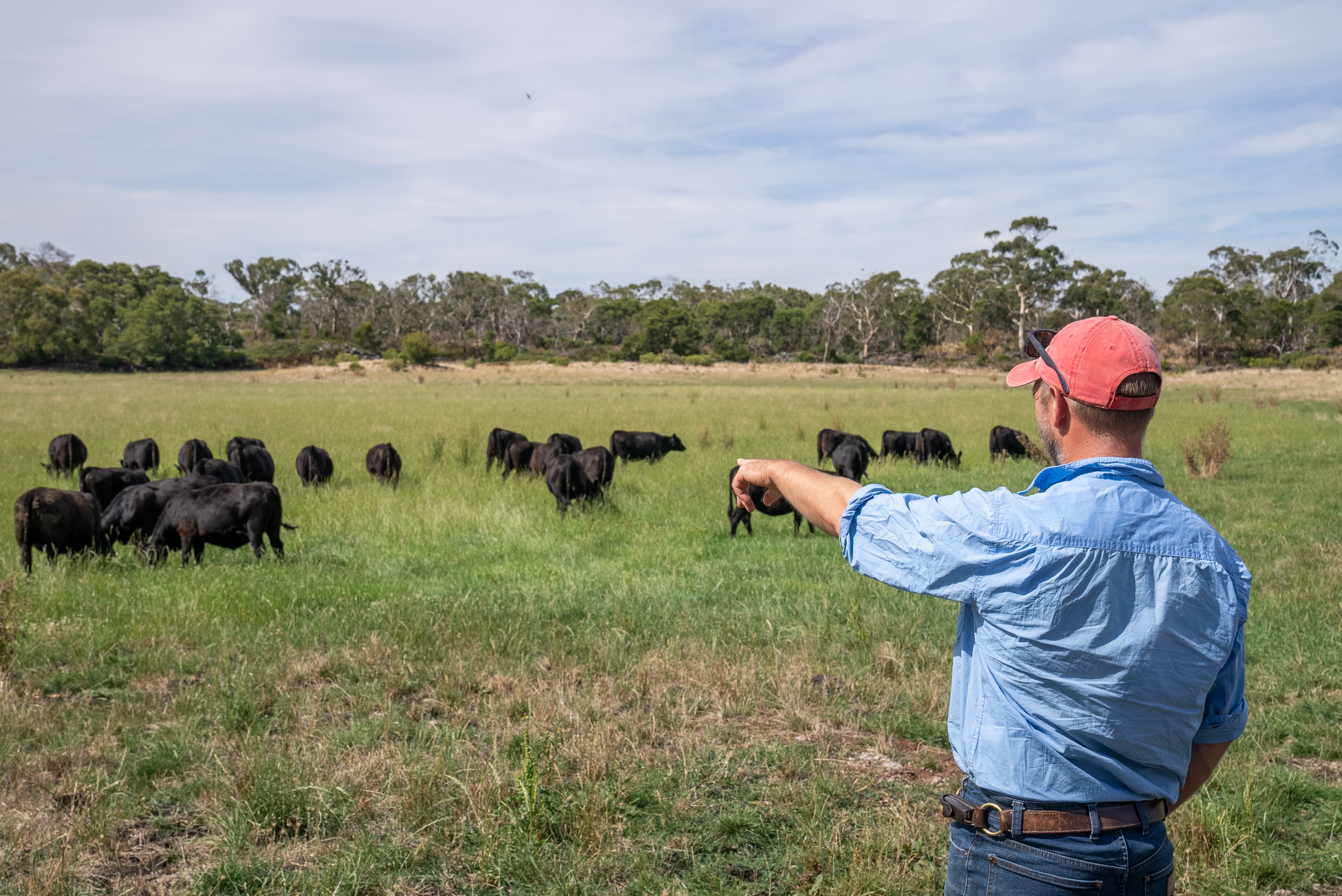 Early sowing pays off at Gippsland demo