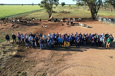 Which bucks deliver the biggest returns? Find out at the 2026 Measured Goats Field Day