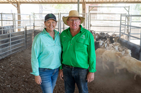 Producers discover grass is greener with goats