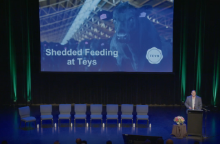 Wet winters no match for bedded sheds