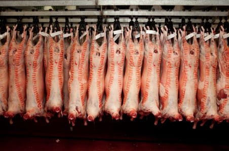 Q&A: Leading UAE importer on why Australian lamb sets the premium benchmark