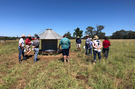Livestock gains through making grain count