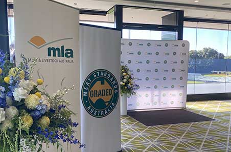 Celebrating excellence: MSA Excellence in Eating Quality Awards spotlight top MSA beef producers