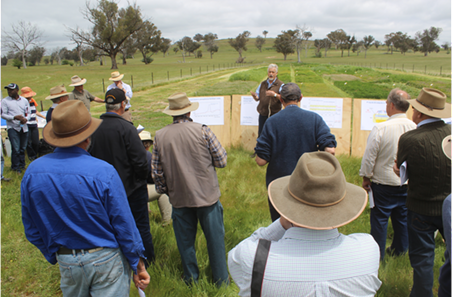Are your phosphorus decisions delivering profit?