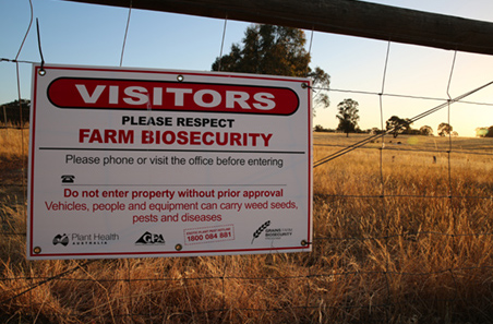 Producers encouraged to monitor and report signs of bird flu