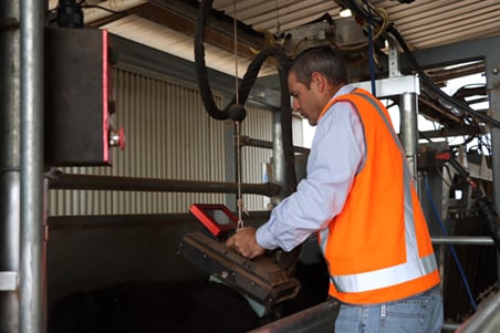 New measurement tech cuts the guesswork from feedlot sorting