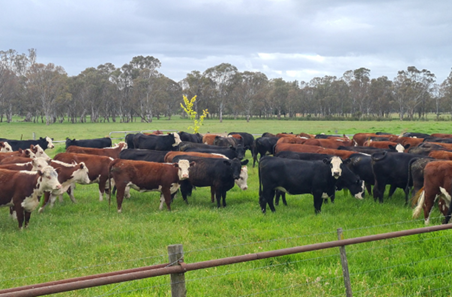 Waking the sleeping giant of soil health