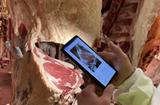 Industry first: AUS-MEAT approves MEQ Camera technology