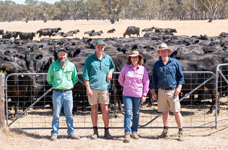 Peel Pastoral’s playbook: data, diversity, and dung beetles