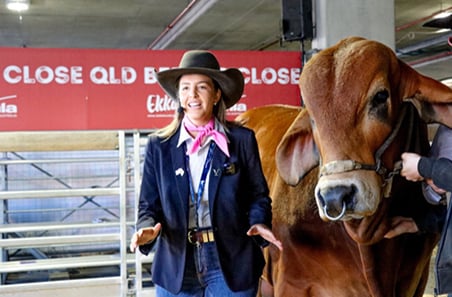 Engaging showgoers with the Aussie red meat industry