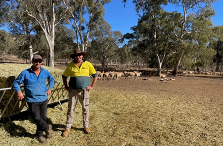 What management practices really work on-farm? New PDS Updates webinar series has the answers