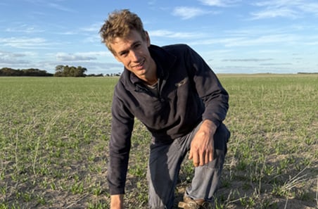 Local knowledge, lasting impact: Soil amelioration delivers