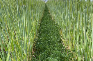 How to select a feedbase for resilience