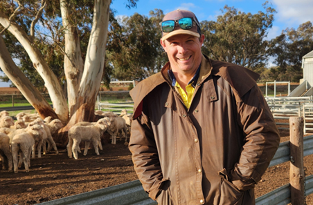 Targeted ewe management lifts lambing by 20%