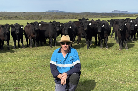 Bull breakdown could be costing your herd performance