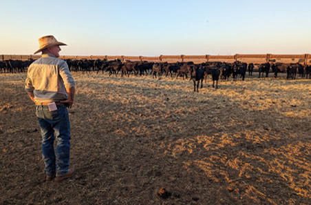 Eye on market drives Pardoo’s productivity