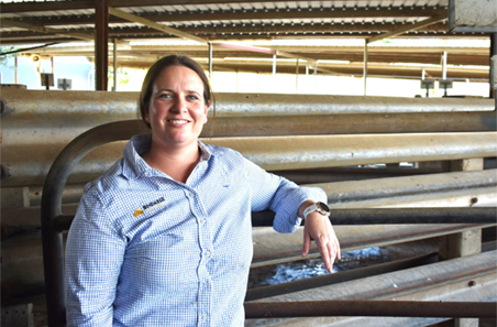On-farm handling boosts beef’s processing performance